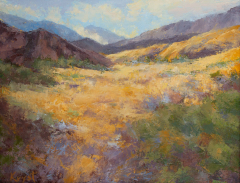 Coachella Valley   . . . . . . . . . 11x14 Oil