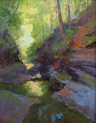 Starved Rock Gorge   . . . . . . . . .  10x8 Oil