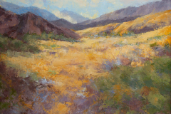 Coachella Valley   . . . . . . . . . 11x14 Oil