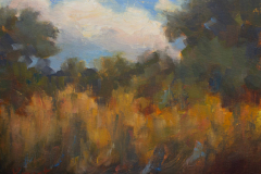Late Summer   . . . . . . . . .  8x10 Oil